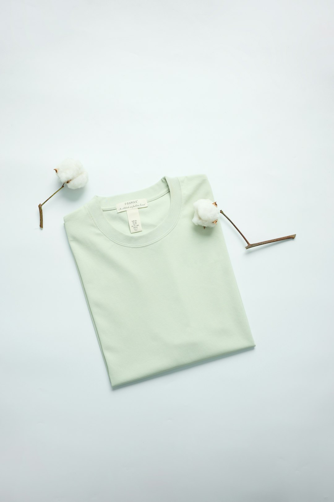 a-light-green-t-shirt-with-cotton-branches-olsnyhu2bvu